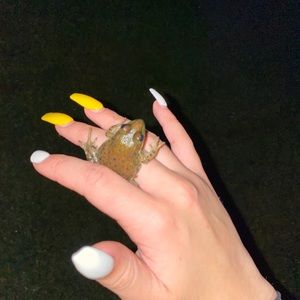 Meet your Posher, Abby